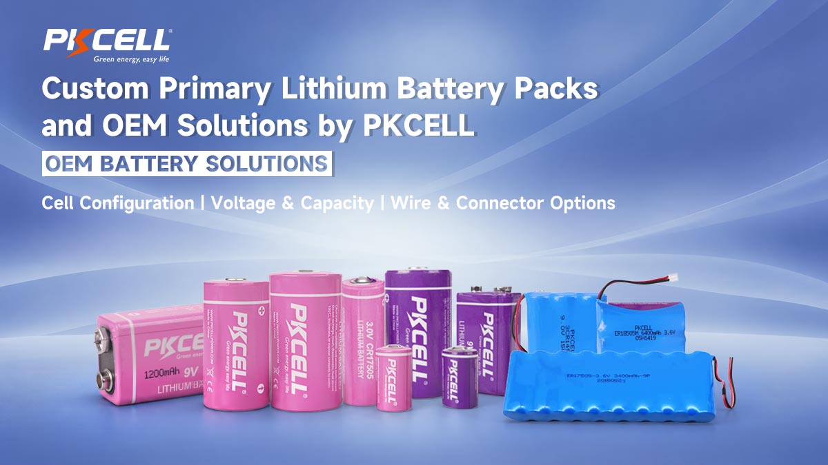 Custom Primary Lithium Battery Packs and OEM Solutions by PKCELL