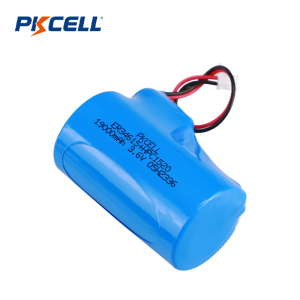 PKCELL 19000mAh 3.6V ER34615+HPC 1520 ผู้จัดจำหน่ายชุดแบตเตอรี่