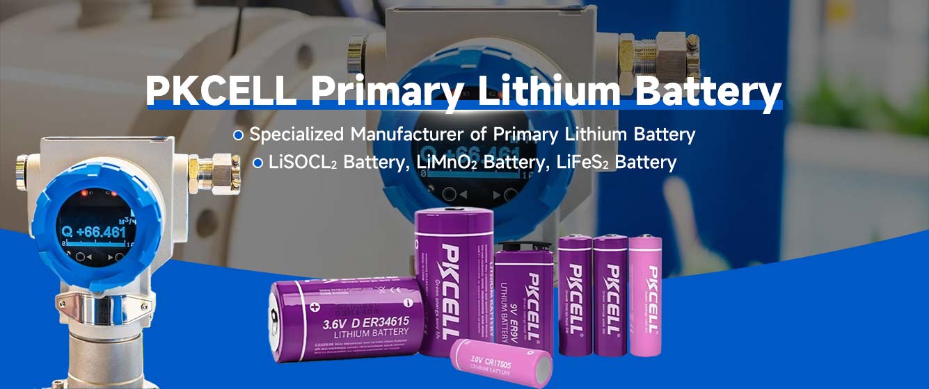 PKCell Primary Lithium Battery （2）