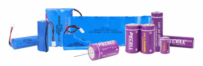 2 Un fabricant chinois leader de batteries LiSOCl2 3,6 V à l'origine des compteurs d'énergie les plus fiables au monde