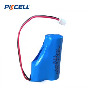 Поставщик аккумуляторных батарей PKCELL 4000 мАч 3,6 В ER18505 + HPC 1520