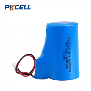 PKCELL 19000mAh 3.6V ER34615+HPC/ SPC 1520 Battery Pack Manufacturer