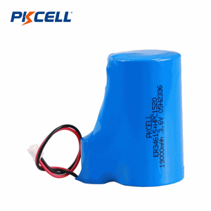3V 19000mAh ER34615+HPC/SPC1520 电池组 | Pkcell