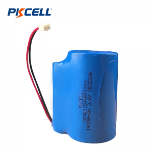 Поставщик аккумуляторной батареи PKCELL 19000 мАч 3,6 В ER34615 + HPC 1550