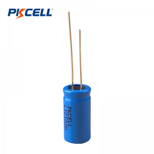 Nhà sản xuất tế bào đơn siêu tụ điện PKCELL LIC1020