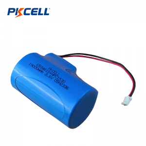 Поставщик аккумуляторных батарей PKCELL 19000 мАч 3,6 В ER34615 + HPC 1530