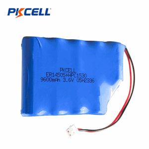 Pacote de bateria ER14505+HPC1530 de 3,6 V e 9600 mAh | Pkcell