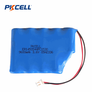 3.6V 9600mAh ER14505+HPC1530 电池组 | Pkcell