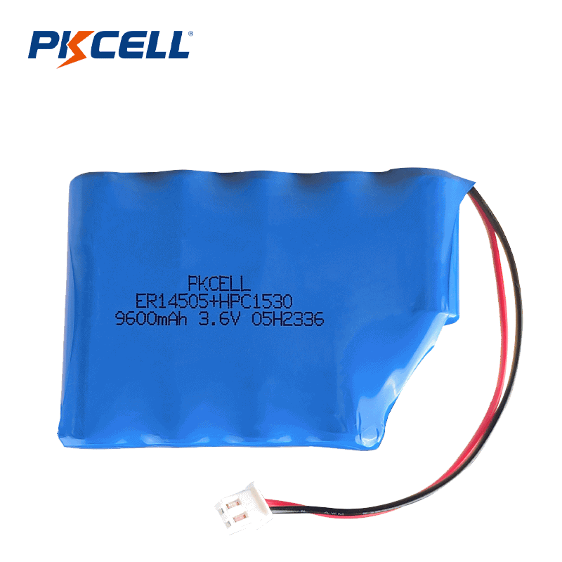 PKCELL 9600mAh 3.6V ER14505+HPC1530 ผู้จัดจำหน่ายแบตเตอรี่