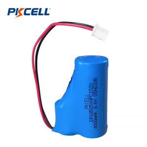 PKCELL 4000mAh 3,6V ER18505+HPC 1520 batterijpakketleverancier