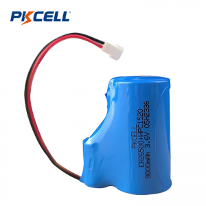 Nhà cung cấp bộ pin PKCELL 9000mAh 3.6V ER26500+HPC 1520