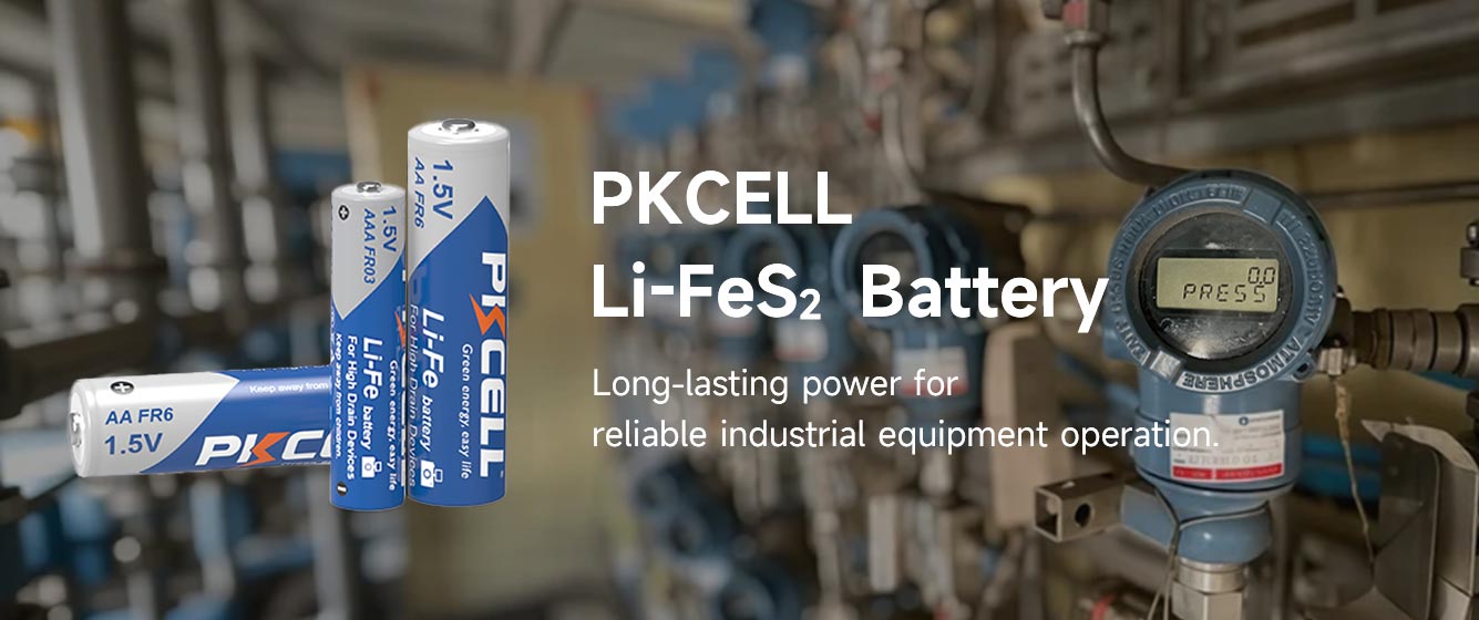 PKCell LiFeS2 battery
