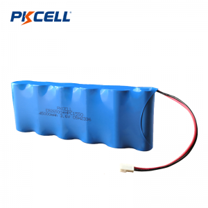 Fornitore di batterie PKCELL 45000mAh 3,6 V ER26500 + HPC 1550