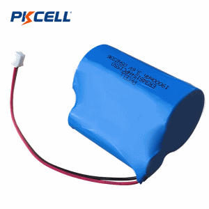 Baterai 3,6V 19000mAh ER34615+HPC/SPC1550 | Pkcell