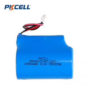 PKCELL 19000mAh 3.6V ER34615 + HPC 1550 fournisseur de batterie