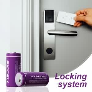 3.6VD ER34615 Li-SoCl2 배터리(19000mAh) | Pkcell