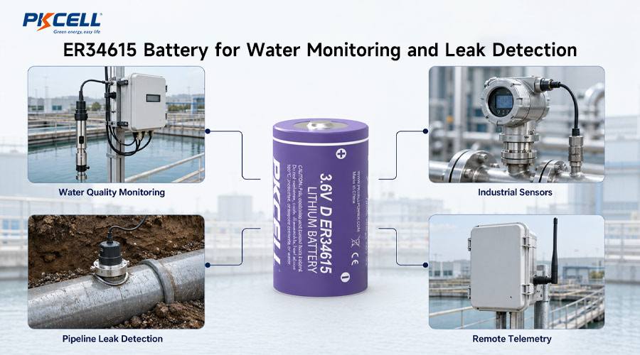 ER34615: Best Battery in Water Quality Testers & Leak Detectors