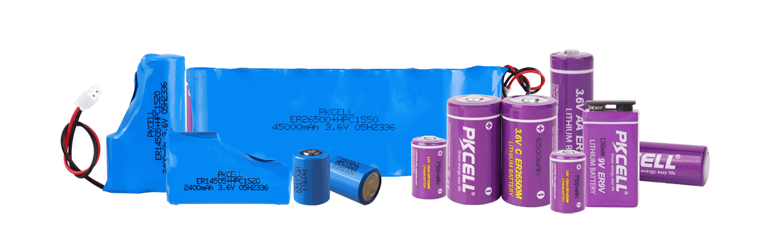 A Complete Guide to Selecting the Right Custom LiSOCl2 Battery Pack Factory for Industrial Applications