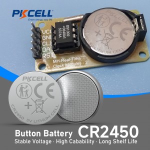 3V CR2450 Lithium Button Cell Battery (600mAh) | PKCELL