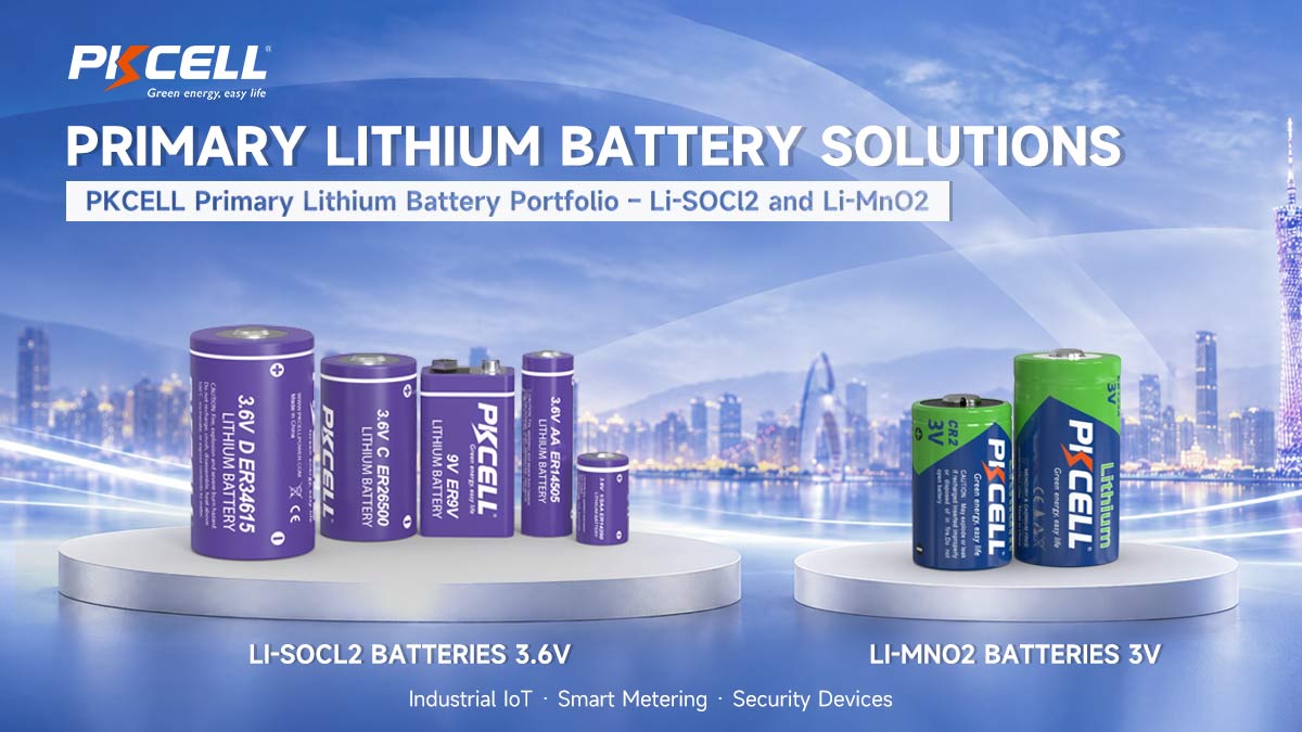 PKCELL Primary Lithium Battery Portfolio – Li-SOCl2 and Li-MnO2