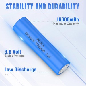 3.6V CC ER261020 Li-SoCL2 Battery (16000mAh) | Pkcell