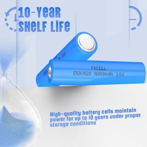 Batterie Li-SoCl2 ER261020 3,6 V CC (16 000 mAh) | Pkcell