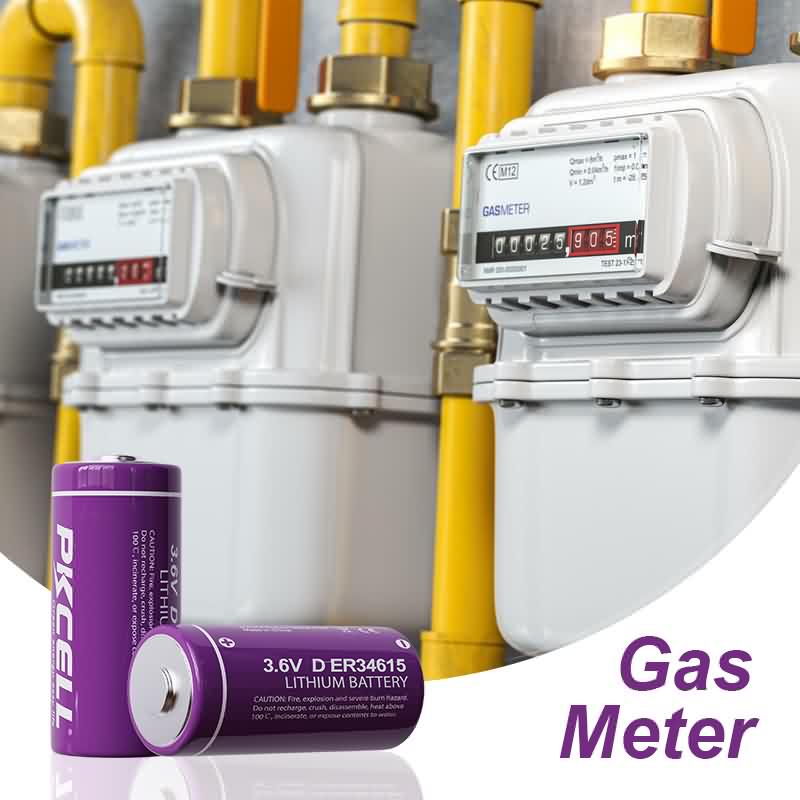 Two ER34615 batteries and two gas meters