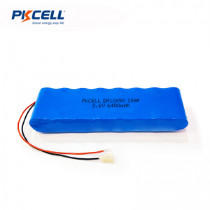 Batterie LiSoCl2 3,6 V ER10450 6400 mAh 1s8p