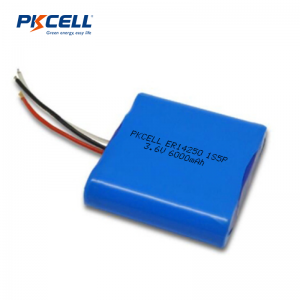 3.6V ER14250 6000mAh 1s5p LiSoCl2 배터리 팩