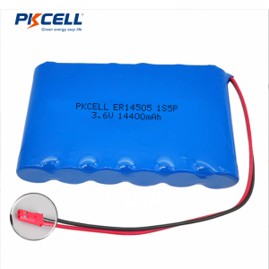 Batterie LiSoCl2 3,6 V ER14505 14 400 mAh 1s6p