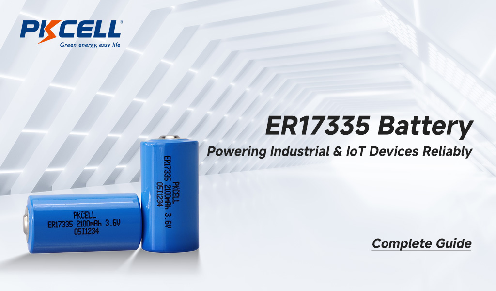 ER17335 battery