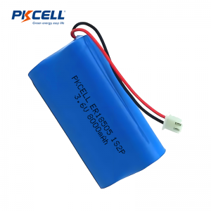 Batterie LiSoCl2 3,6 V ER18505 8 000 mAh 1s2p