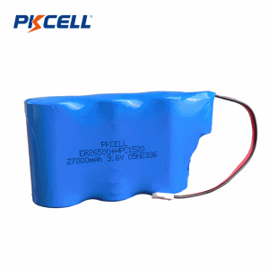 Аккумуляторная батарея ER26500+HPC/SPC 1520 3,6 В 27000 мАч | Pkcell