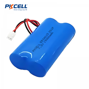 Batterie LiSoCl2 7,2 V ER34615 19 000 mAh 2s1p