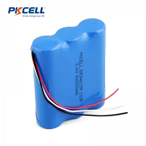 Batterie LiSoCl2 3,6 V ER34615M 42 000 mAh 1s3p