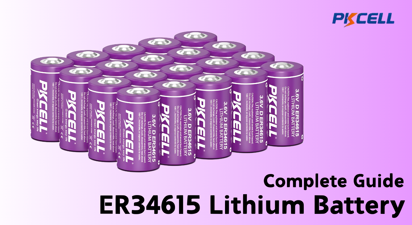 Explore the ER34615 Lithium Battery Completely