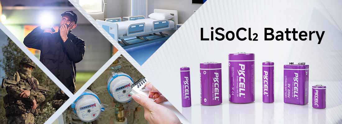 LiSoCl2 Battery