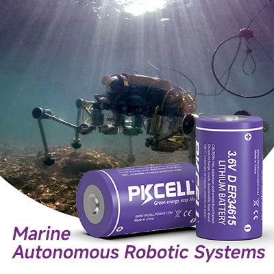 Marine Autonomous Robotic Systems_