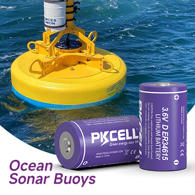 Ocean Sonar Buoys