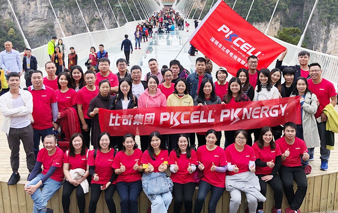 Kultura firmy PKCELL (2)