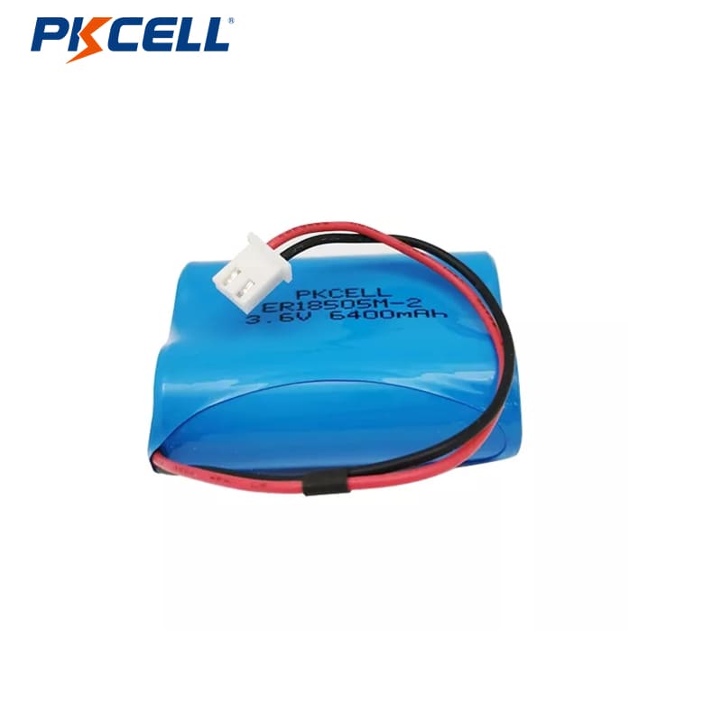 Pacchi batteria PKCELL ER18505 A 3,6 V 1600 mAh 6400 mAh LI-SOCL2