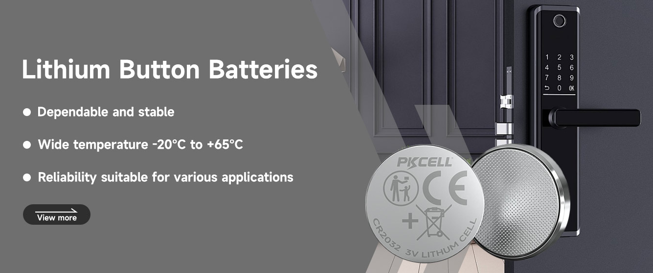 PKCell LiMnO2 Button Cell Battery