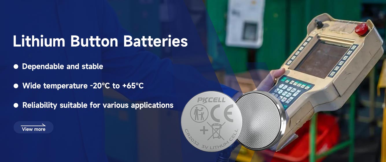 PKCell limnO2 lithium battery