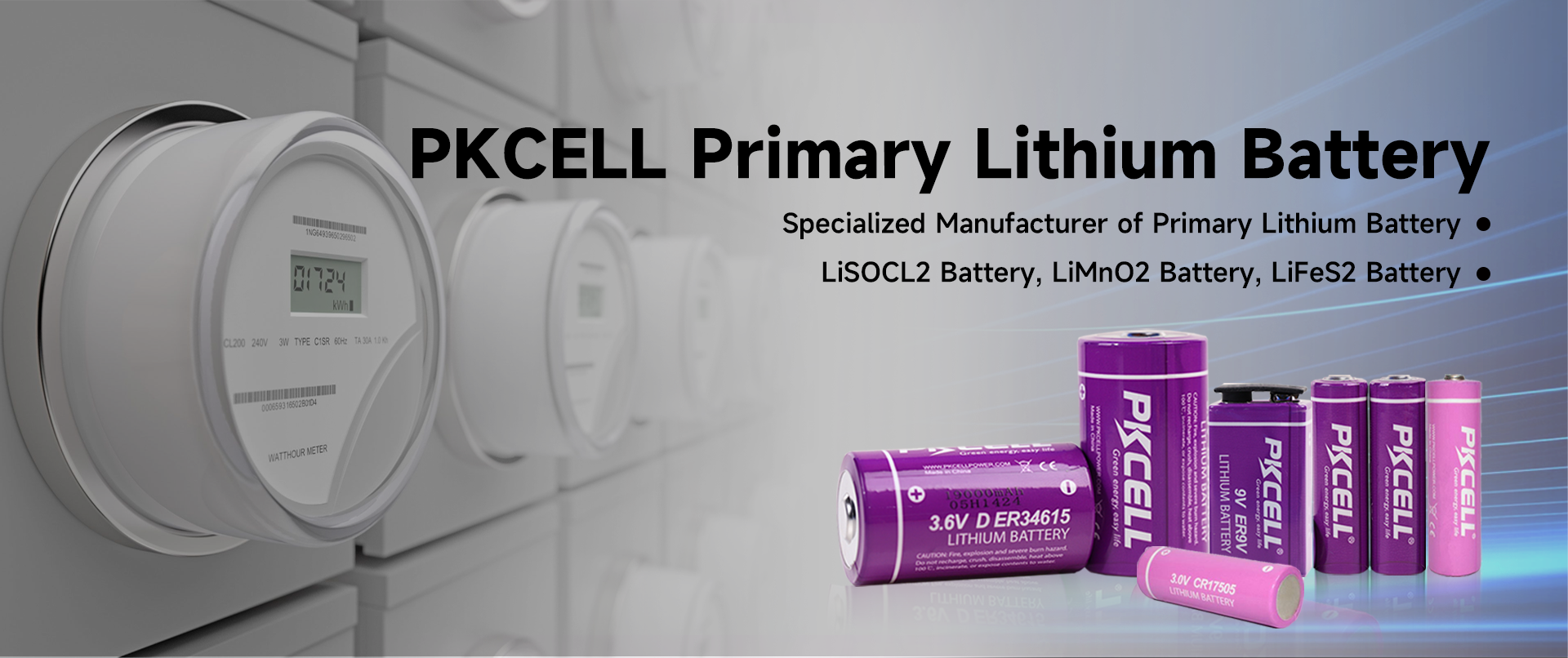 Specialized Manufacturer of Primary Lithium Battery