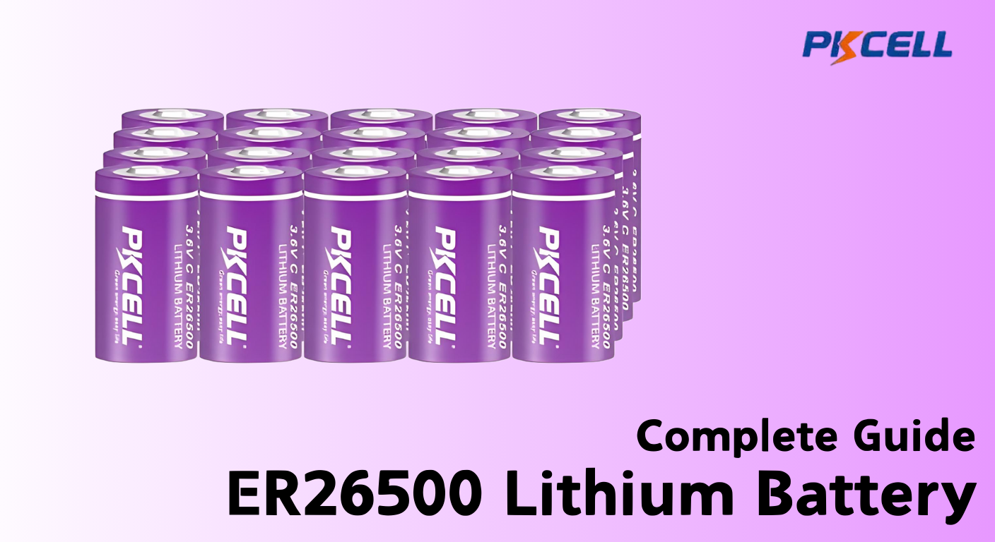 Unleash the Power of ER26500 Batteries: A Comprehensive Guide