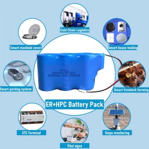 3.6V 9000mAh ER26500+HPC/SPC1320 IoT 배터리 팩 | Pkcell