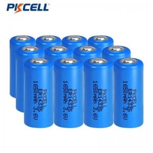 Batteria al litio primaria PKCELL ER14335 3.6v 2/3aa batterie al litio 1650mah