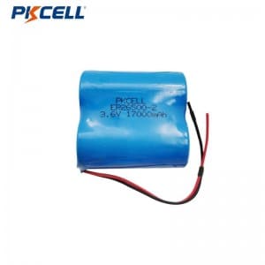 Nhà cung cấp gói pin PKCELL ER14250 ER14505 ER26500 3.6V LI-SOCL2
