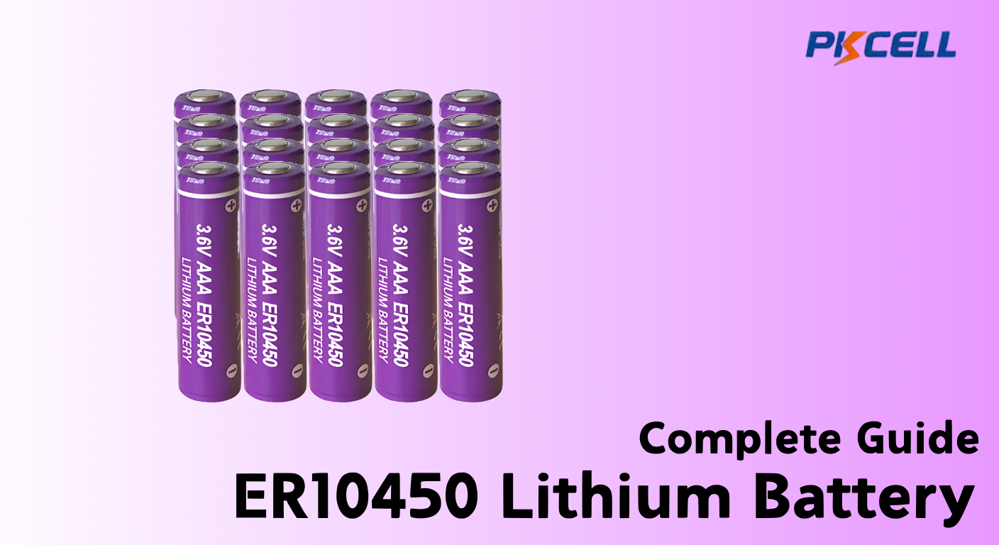 ER10450: Your Guide to 3.6V Lithium Battery Options